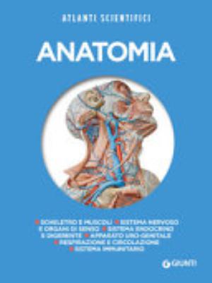 Anatomia - Adriana Rigutti