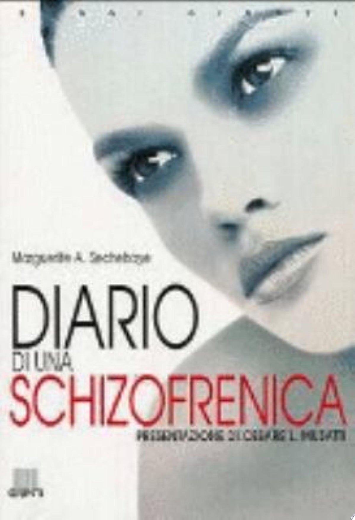 Diario Di Una Schizofrenica - Marguerite A. Sechehaye