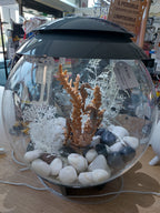 Acquario Biorb 30 Litri Led