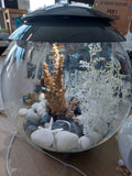 Acquario Biorb 30 Litri Led