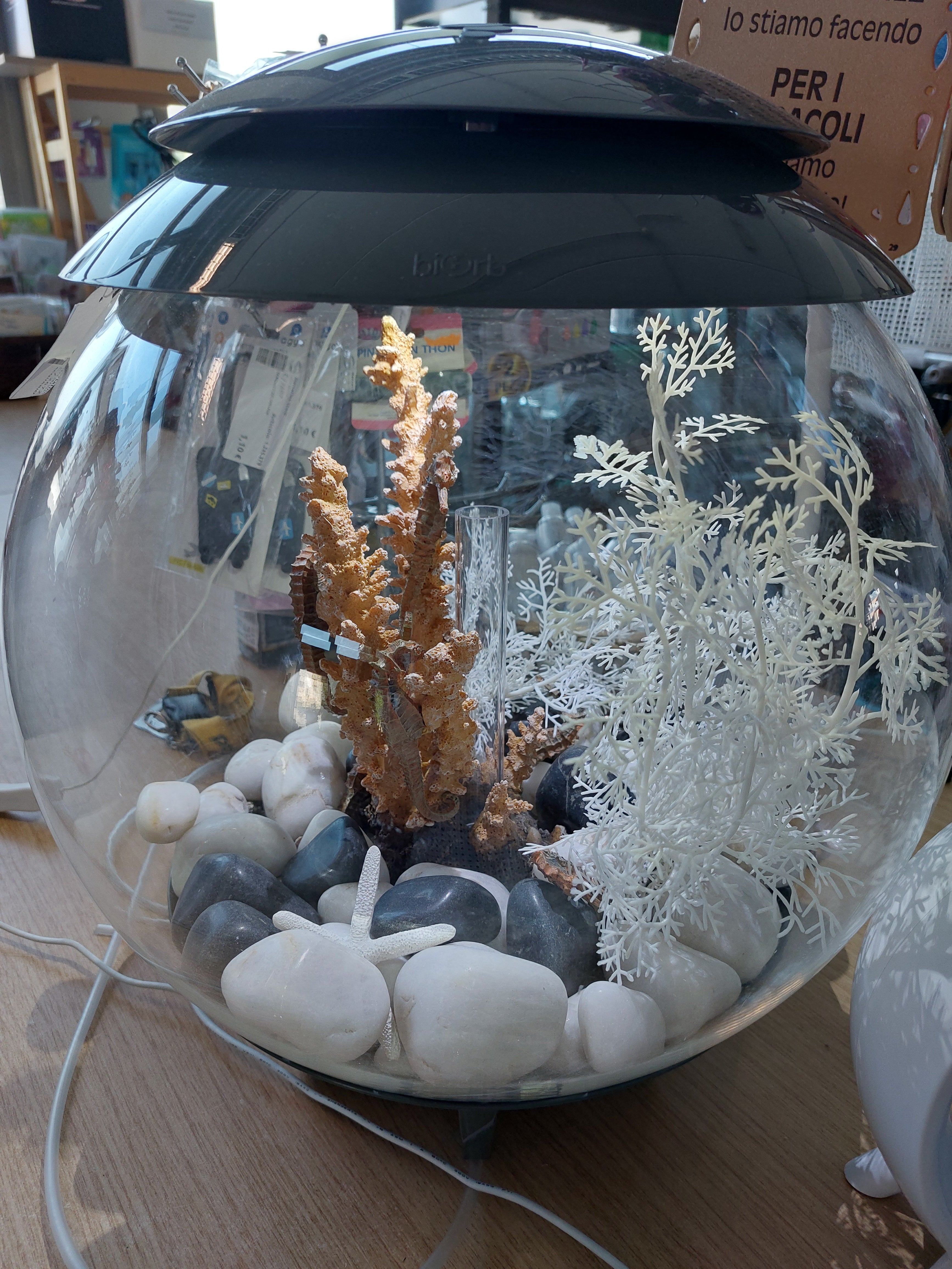 Acquario Biorb 30 Litri Led